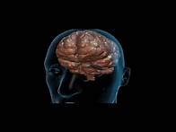 Video thumbnail for The effects of drugs in the brain
