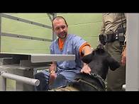 Video thumbnail for Therapy Dog Comforts Jail Inmates With Mental Illness
