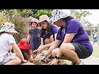 Video thumbnail for Policies and procedures