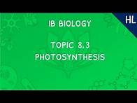 Video thumbnail for IB Biology Topic 8.3 (HL): Photosynthesis