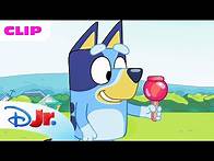Video thumbnail for Bluey Season 1 "Markets" Episode Clip | @disneyjr x @BlueyOfficialChannel
