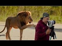 Video thumbnail for The Wildest Most AMAZING And ICONIC Animal Encounters Ever Caught on Camera