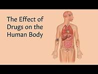 Video thumbnail for The Effect of Drugs on the Human Body | AnatomyStuff