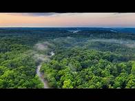 Video thumbnail for Amazon rainforest | Ecosystems