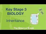 Video thumbnail for Key Stage 3 Science (Biology) - Inheritance