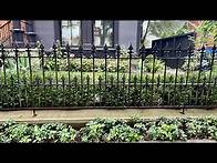 Video thumbnail for Wrought Iron Fence Styles and Designs