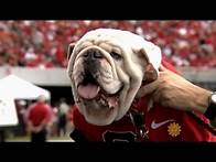 Video thumbnail for Meet University of Georgia mascot Uga the bulldog