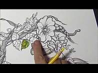 Video thumbnail for Coloring Vibrant Leaves And Flowers Extreme Coloring With Lisa Brando Prismacolor