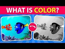 Video thumbnail for What Is Color? | Color Quiz | Let's see if you can master the Color Quiz