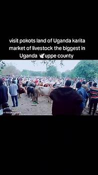 Video thumbnail for Exploring Pokots Land in Uganda: Karita Livestock Market 🕊️