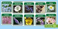 Video thumbnail for Plants and Flowers Flashcards