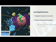 Video thumbnail for Demo Simulation | Virtual Lab