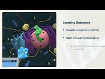 Video thumbnail for Demo Simulation | Virtual Lab